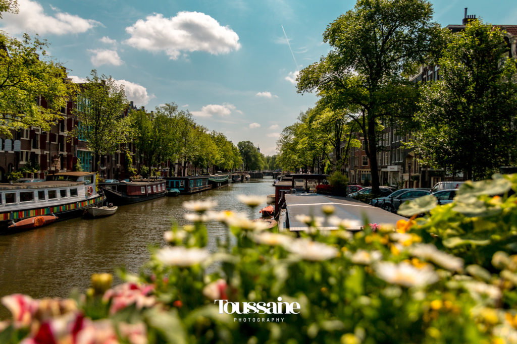 Eine Gracht in Amsterdam mit Hausbooten, grünen Bäumen und blauem Himmel.